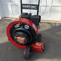 Giant Vac 10HP Walk Behind Leaf Blower  