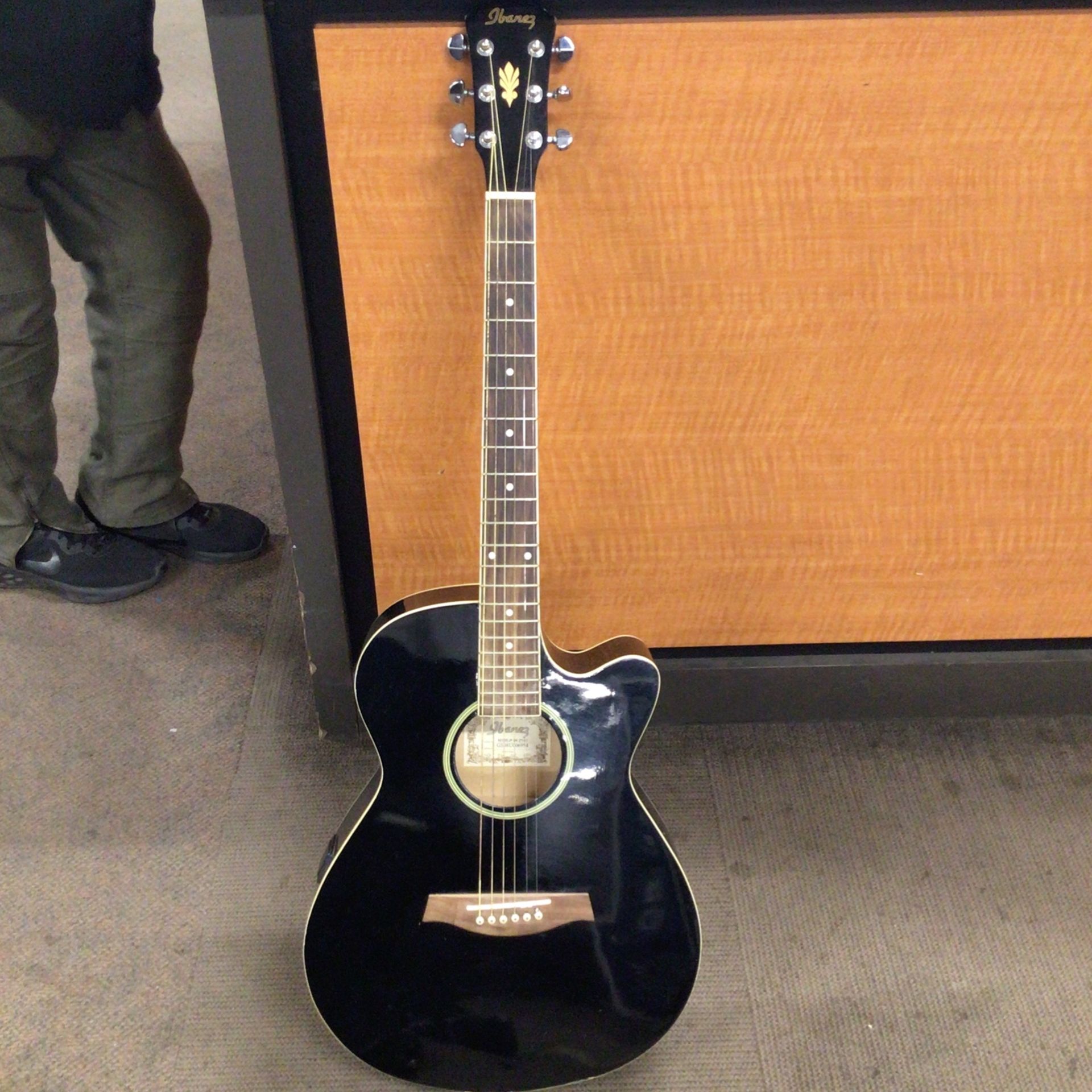 Ibanez Guitar