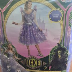Wicked Women Costume S 4/6