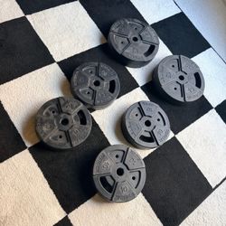 Weider Weight Plates (70lbs)