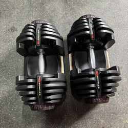 Bowflex Dumbbells 1090