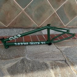 Cult Heaven’s Gate Brandon Begin Frame