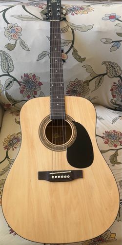 Acoustic Guitar Rogue