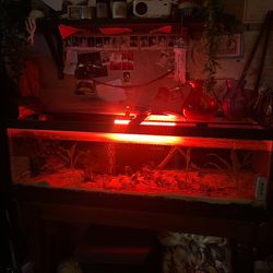 65 Gallon Fish Tank