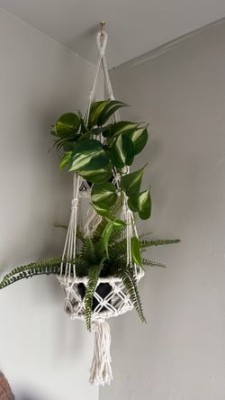 Hanging macrame plant holder