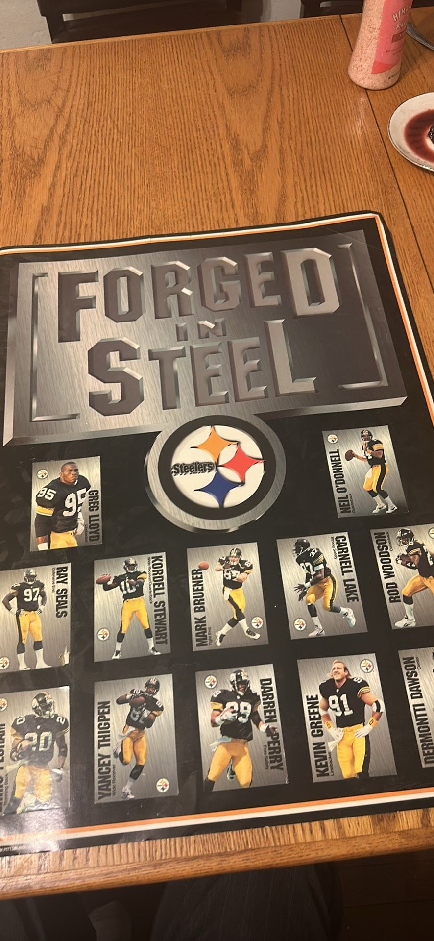 Pittsburgh Steelers Forged in Steel 24 x 18 team Poster collectable