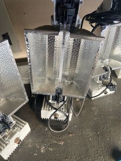 Hydroponic plant lights