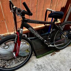 Bicicle 