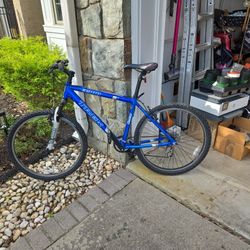 Trek Mountain Bike 
