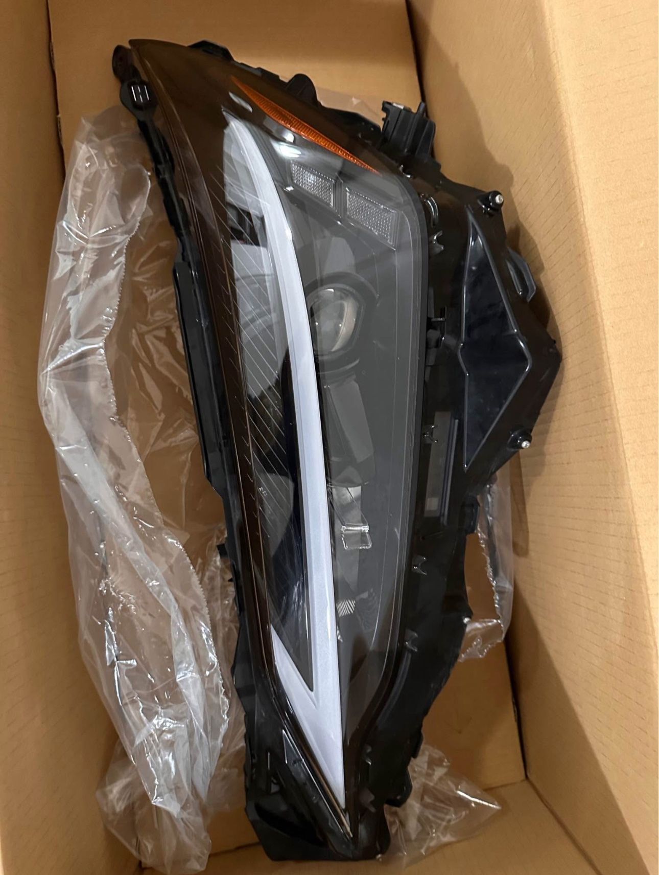 Head Light