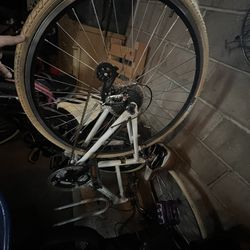 Bianchi Cortina 42 Bike