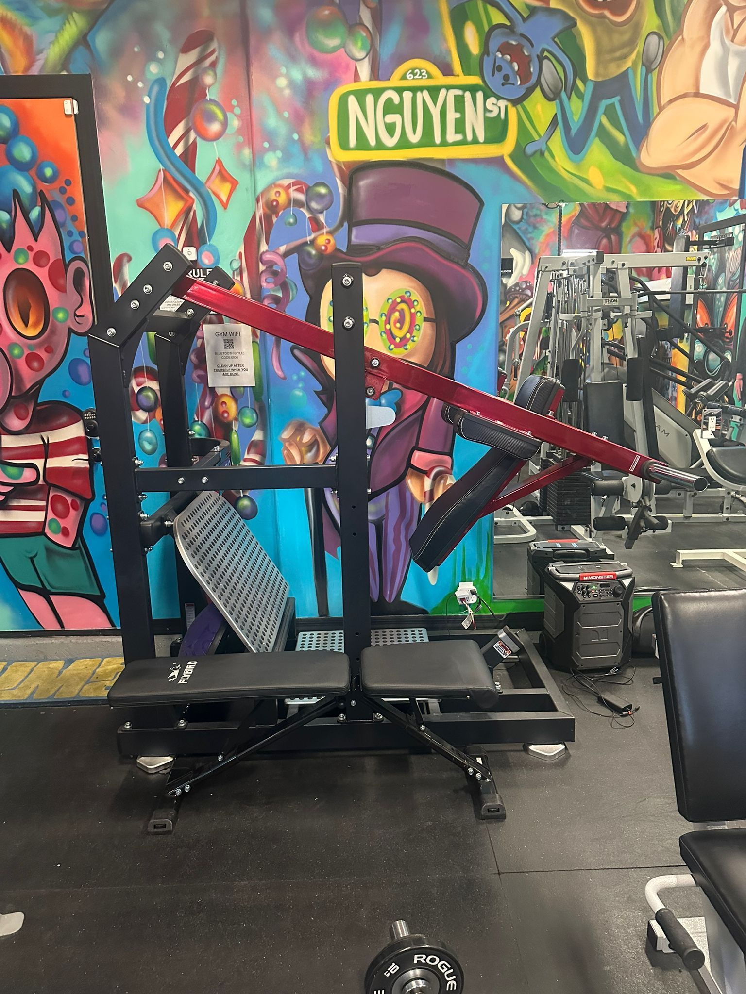 Pendulum Squat Rack