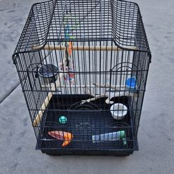 Bird Cage