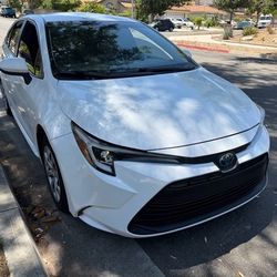 2023 Toyota Corolla