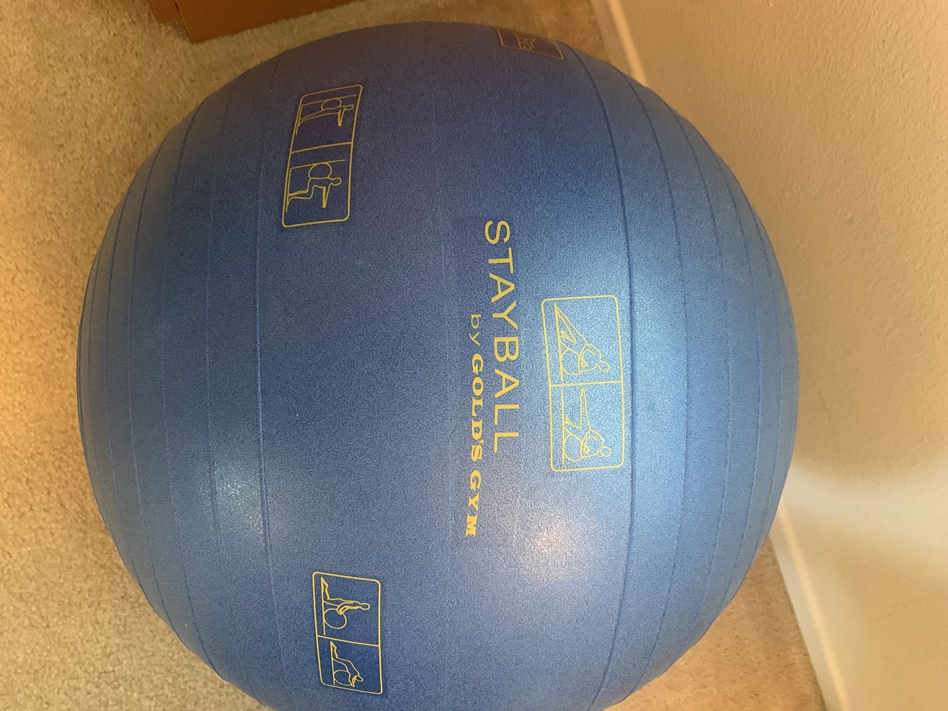 Large Exercise/stretch Ball