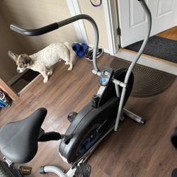 Fan Bike (Body Rider)