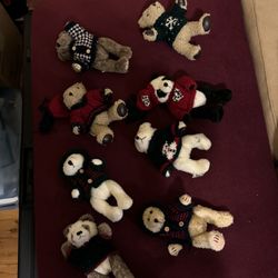 Teddy Bears (8) with Christmas sweaters
