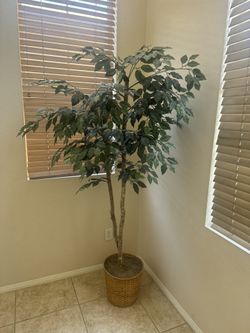 Fake Plant Tree
