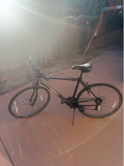Trayl 21 speed mountain bike