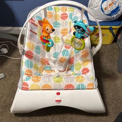 Baby Bouncer