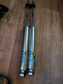 Bilstein rear shocks