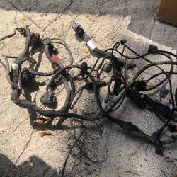 Yamaha VX 110 Wire Harness