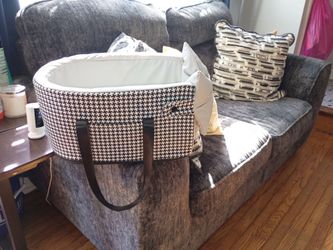 Dog car seat