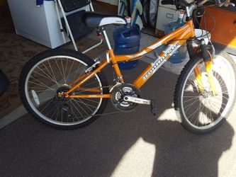 Iron Horse Anzer Peak USA diys bike
