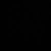 Ant