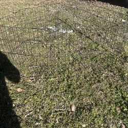 Dog Fence 