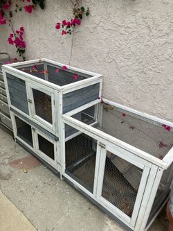 Rabbit/chicken hutch
