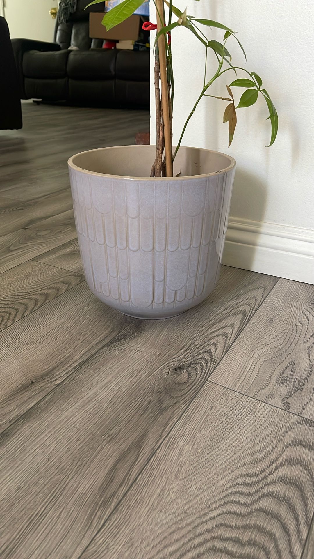 Ceramic Pot