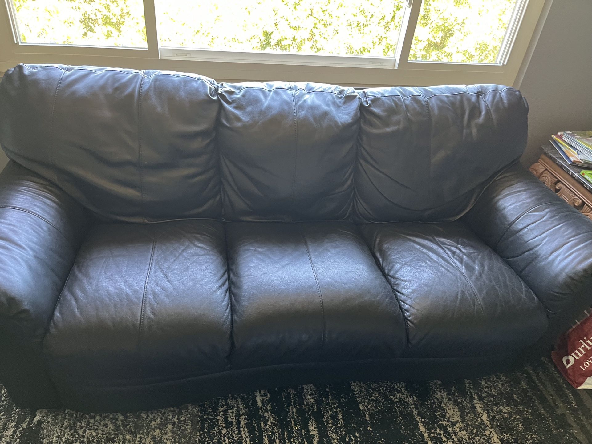 Leather Couches Set