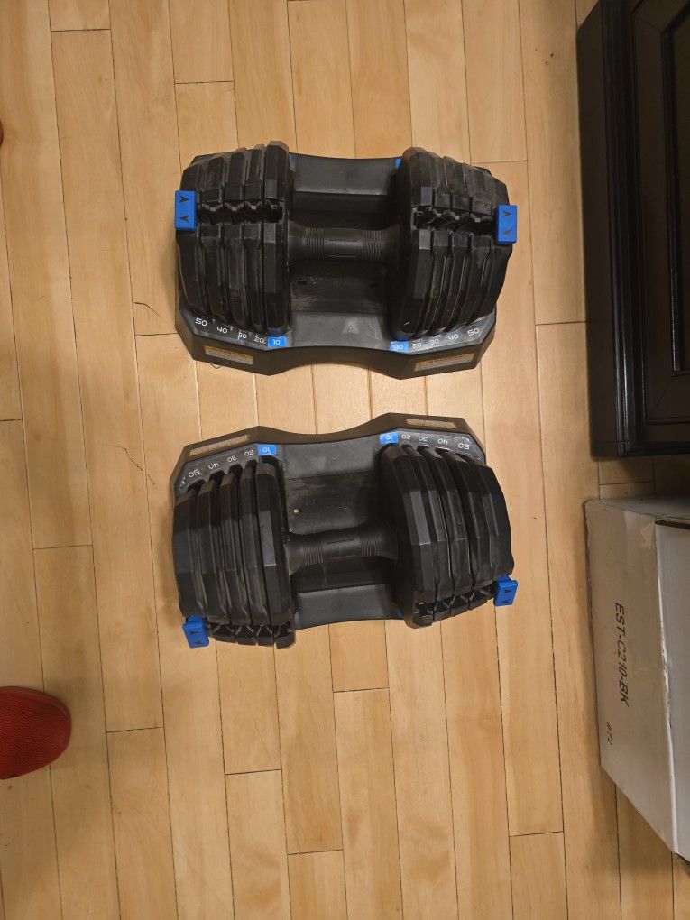 Nordictrack Adjustable Dumbbells.10 To 50 Pounds 
