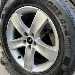 4- LION RADIAL SPORTS 