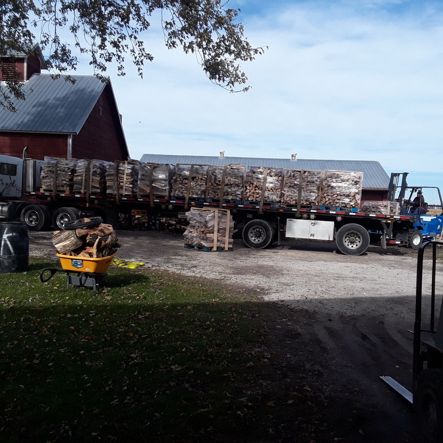 Firewood