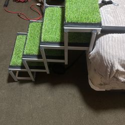Dog Steps New 