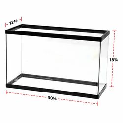 29 gallon tank