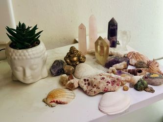 Misc Crystals, Coral, Stones & Shells