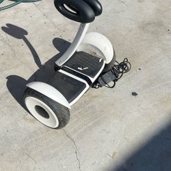 Self Balancing Scooter Segway