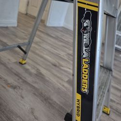 Grilla Ladder Aluminum  5 Feet