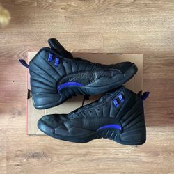 2020 Air Jordan 12 Retro ‘Dark Concord’ Size 12
