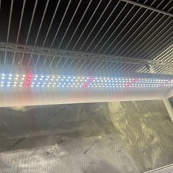 Two Spider Farmer 300 LED Full Spectrum Grow Lights plus FREE heat mat