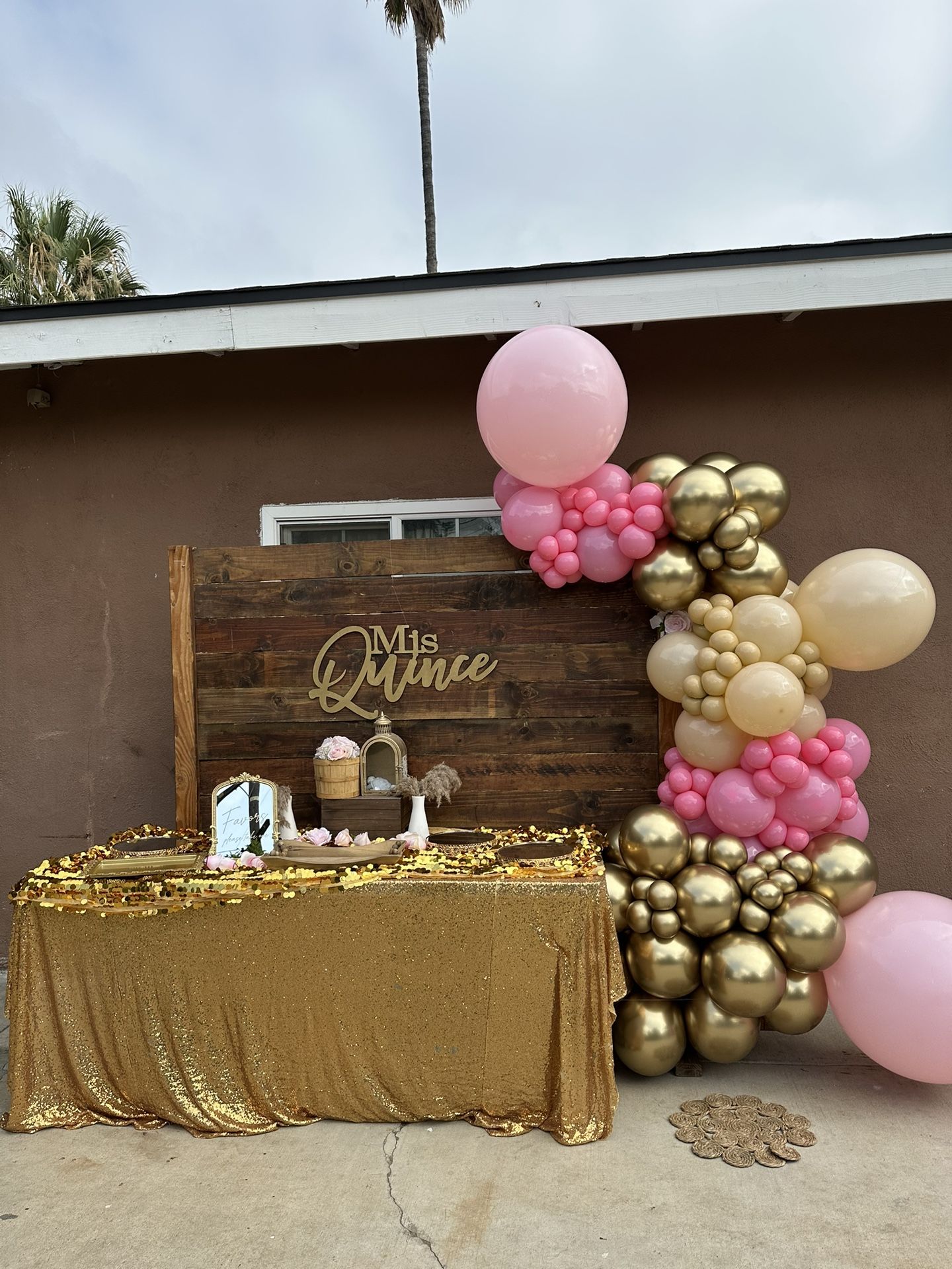 Balloon Backdrops