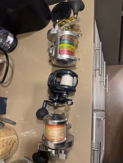 Fishing reels Talica daiwa lexa