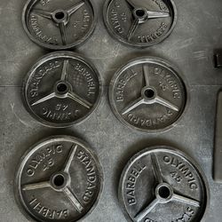 45 Lb Olympic Weight Plates