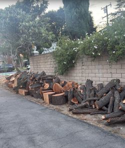 Free Fire Wood