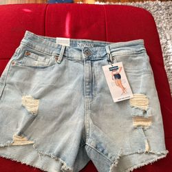 Denizen Levi’s High-rise Shorts 