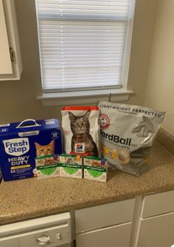 Cat bundle