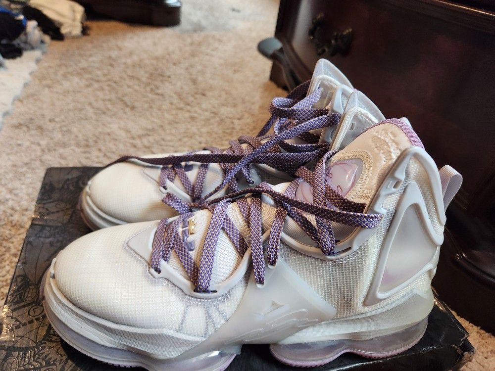LeBron Shoes